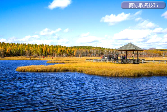 申請注冊商標，商標取名有什么技巧?