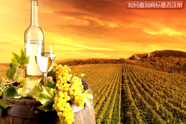 個(gè)體戶網(wǎng)上如何查詢商標(biāo)是否注冊