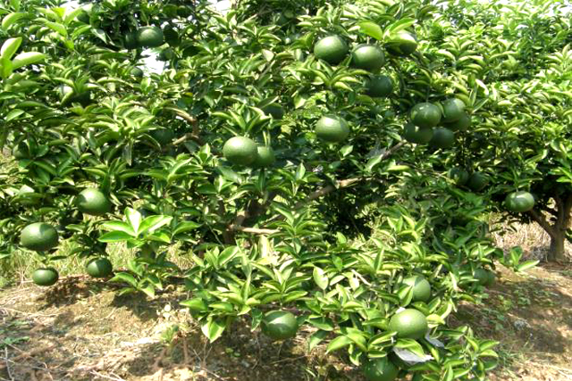 注冊商標在哪里查