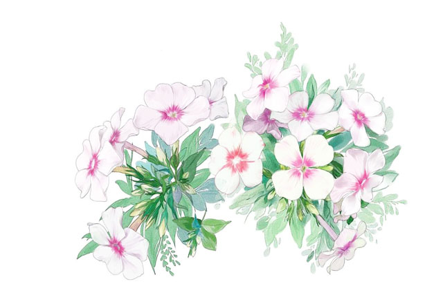 商標(biāo)注冊(cè)后可以tm是啥意思